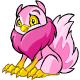 Pink Albat - r101