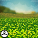 Spring Fields