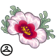 Zafara Plant Hair - r84
