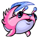 Pink Dartail - r101