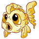 Custard Goldy - r180