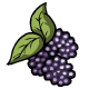 Blackberries - r87